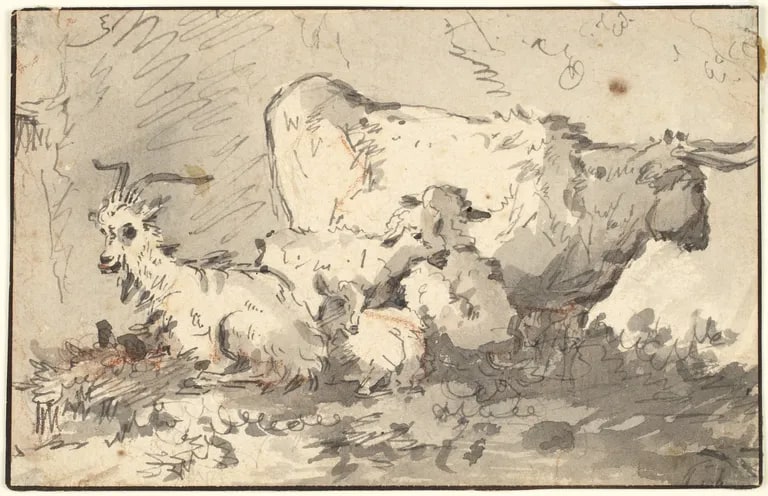 Cow and Goats