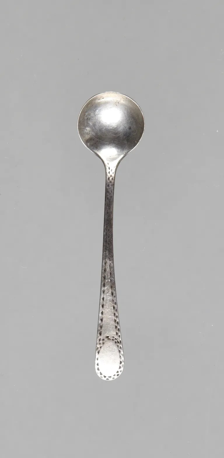 Salt Spoon