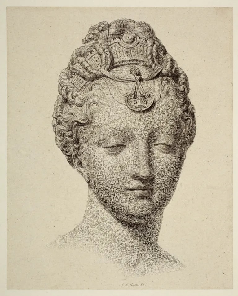 Woman's Head