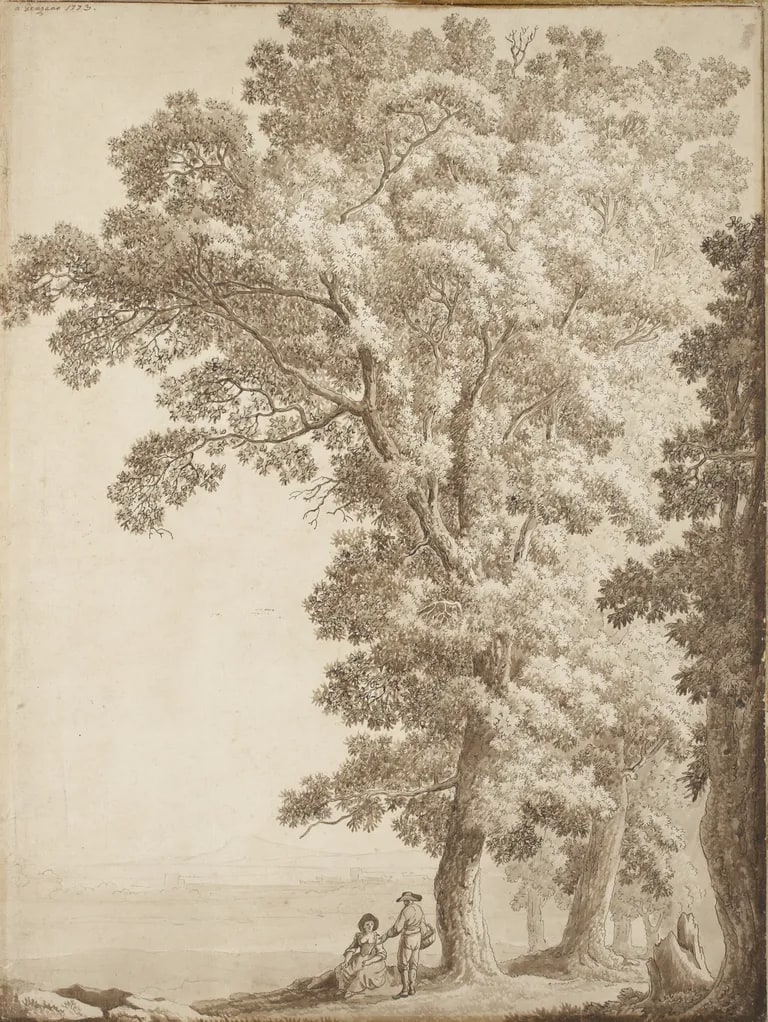 Tall Trees and a View of the Roman Campagna from Genzano