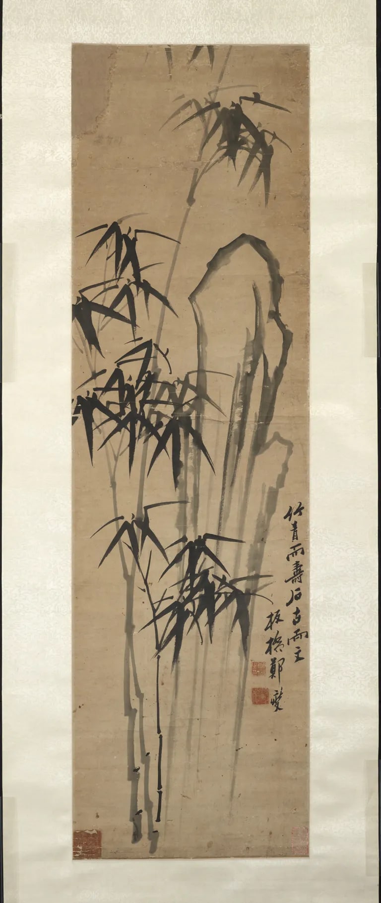 Bamboo