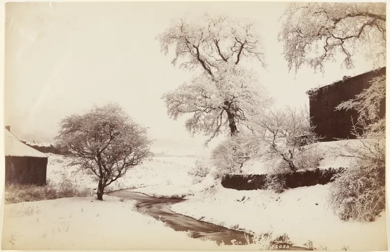 Snow Scene