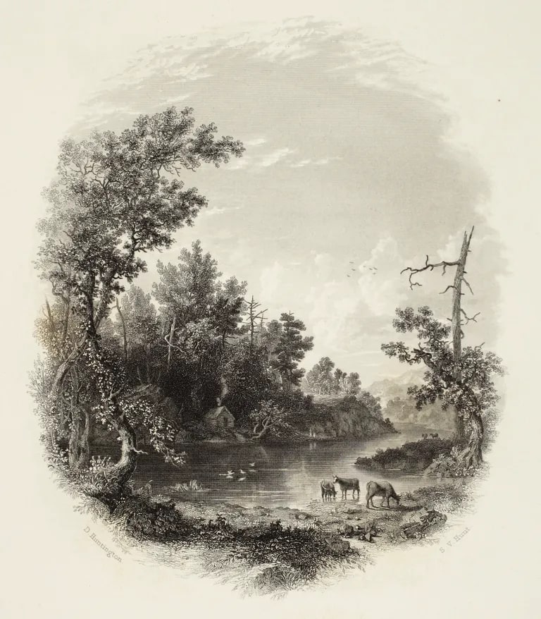 The Rondout