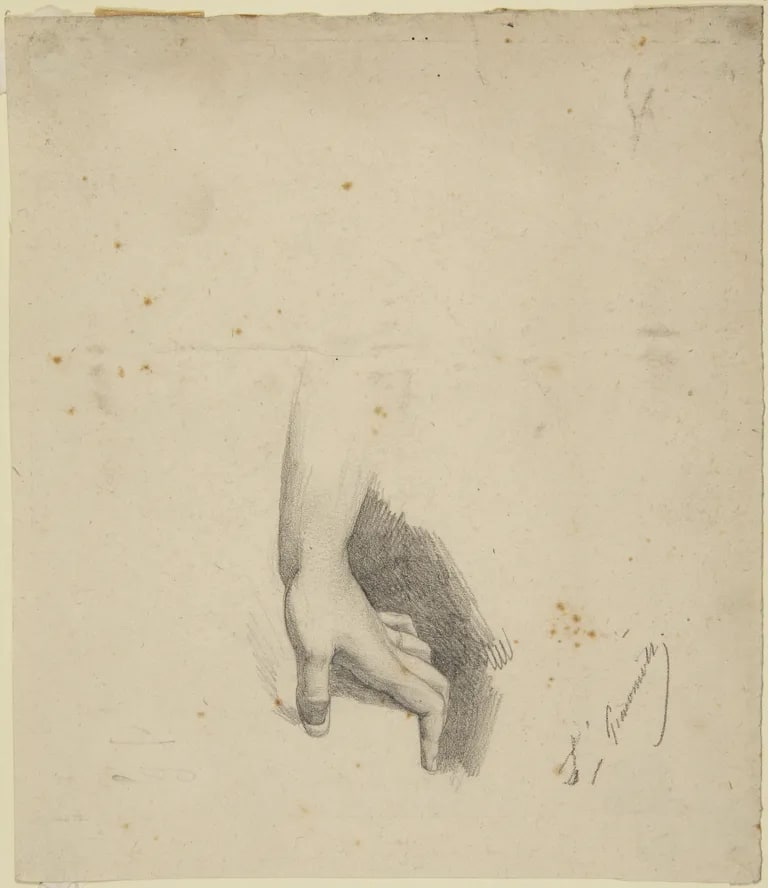 Study of Left Hand