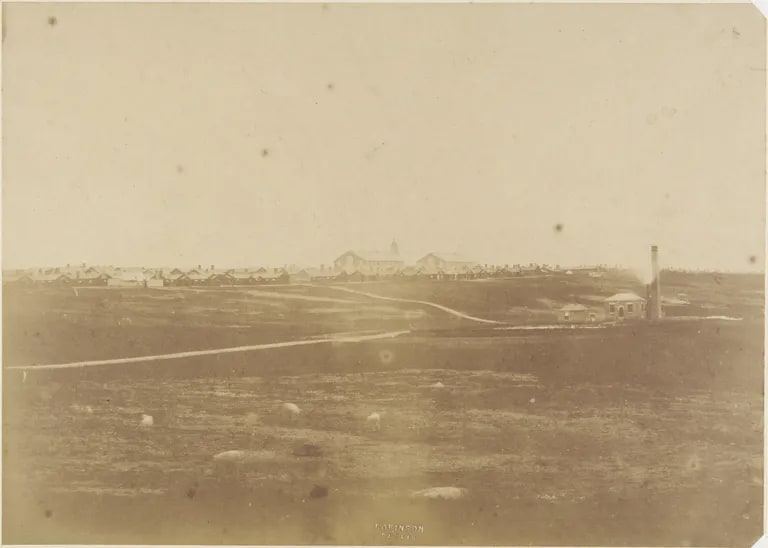 The Curragh