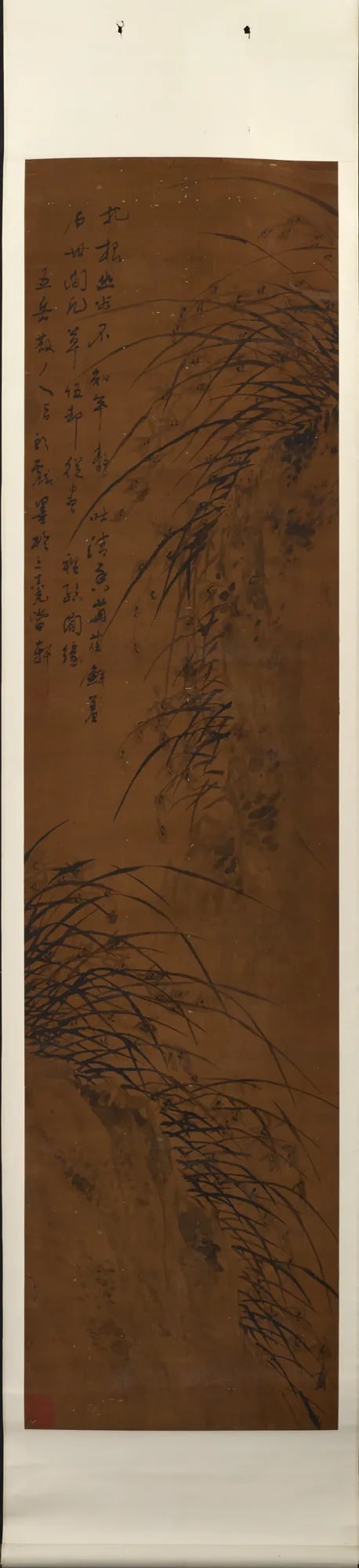Orchids and Rocks (Lan shi tu 蘭石圖)