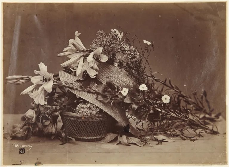 Still Life with Straw Hat