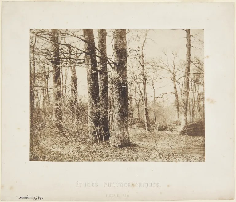 Autumn Landscape