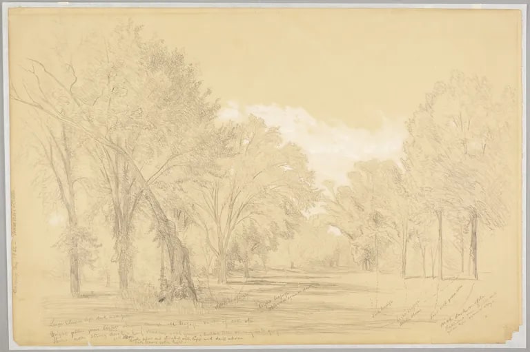 Woodland Scene, Simsbury, Connecticut