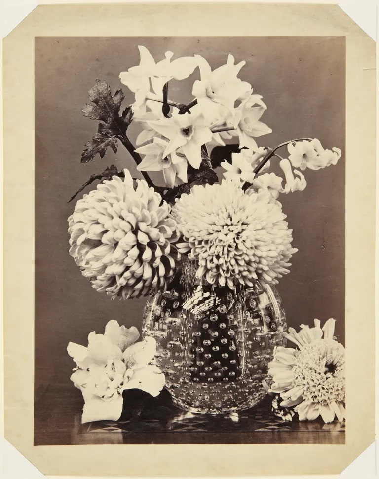 Still Life, Chrysanthemums