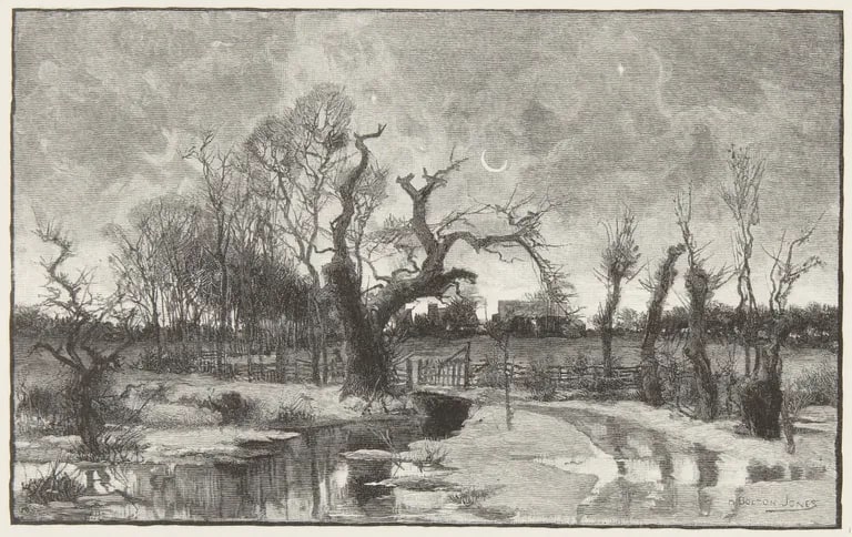 Landscape