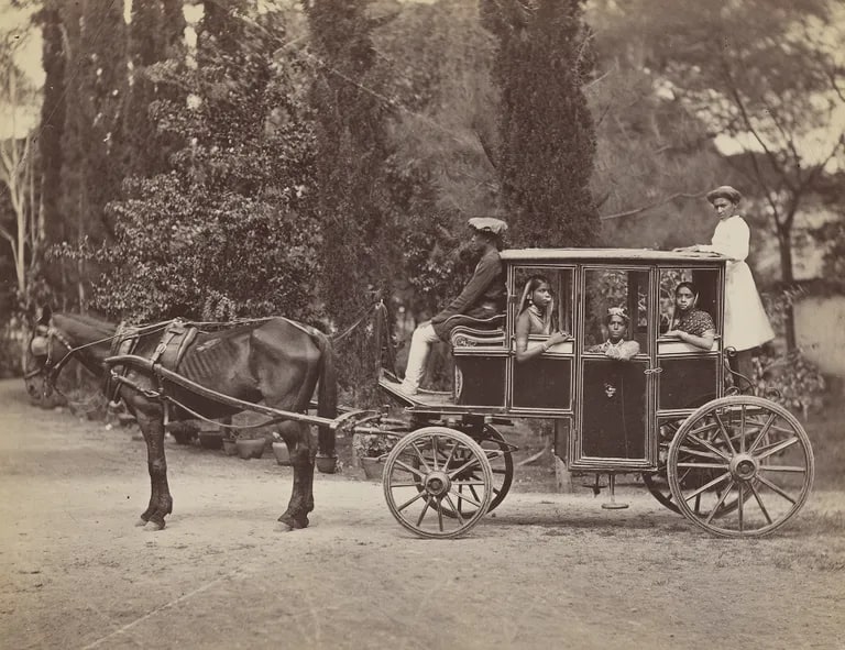 Bhil Women Enjoying Ride in a Horse-Drawn Carriage