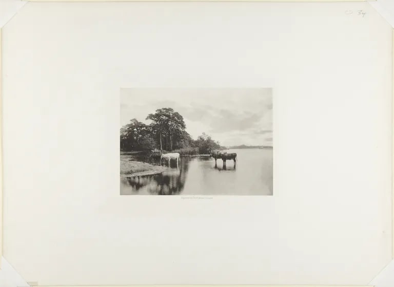 Wroxhen Broad