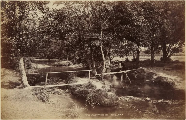 Forge Valley, Yorkshire