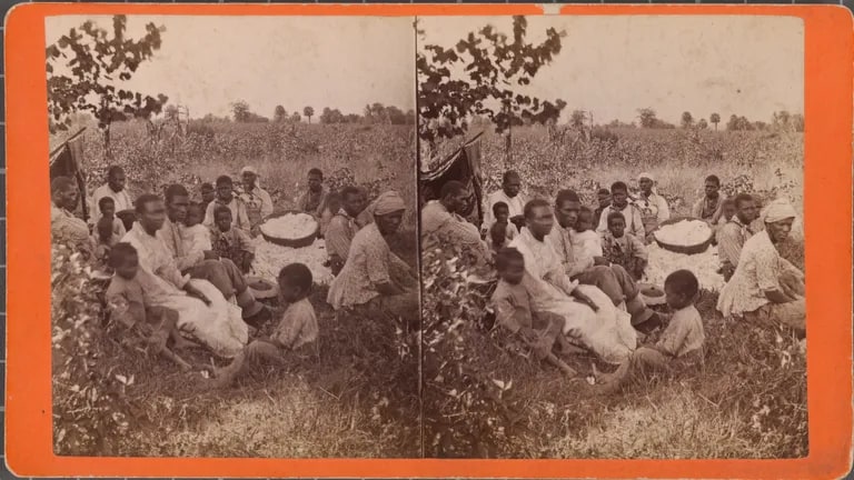 Gathering in the field