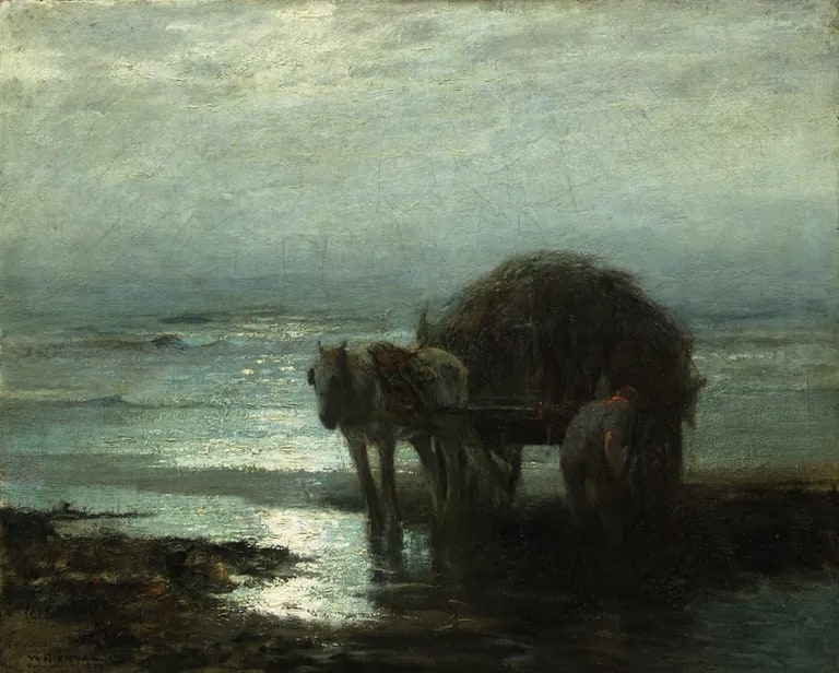 Beach Nocturne