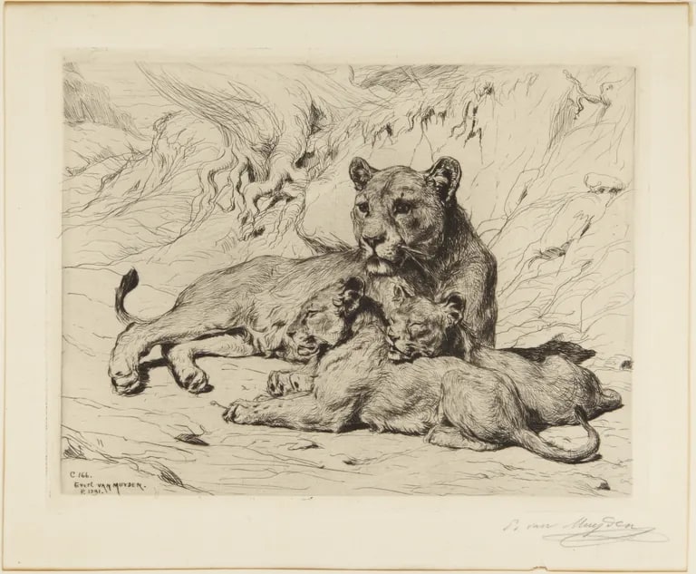 Lioness and Two Cubs