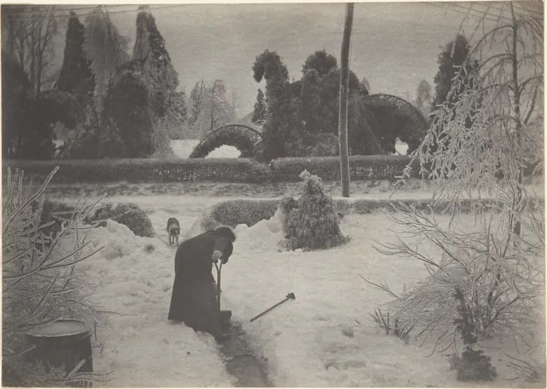 Snow Scene