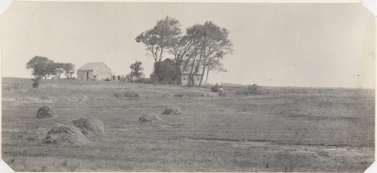 Landscape with haystacks