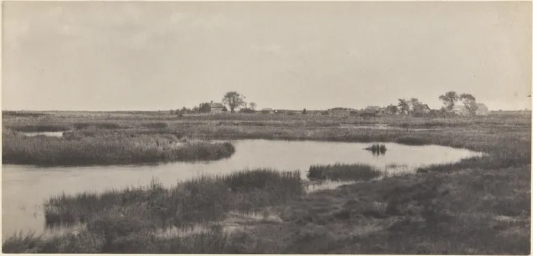 Marsh Landscape