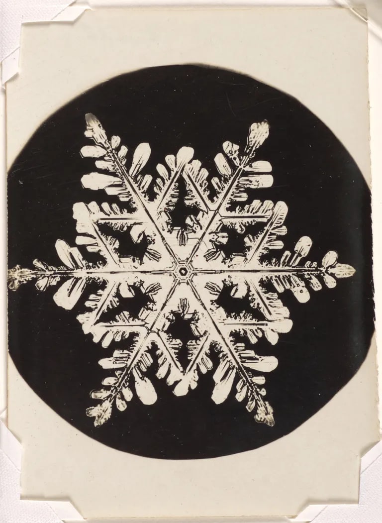 Untitled (snowflake)