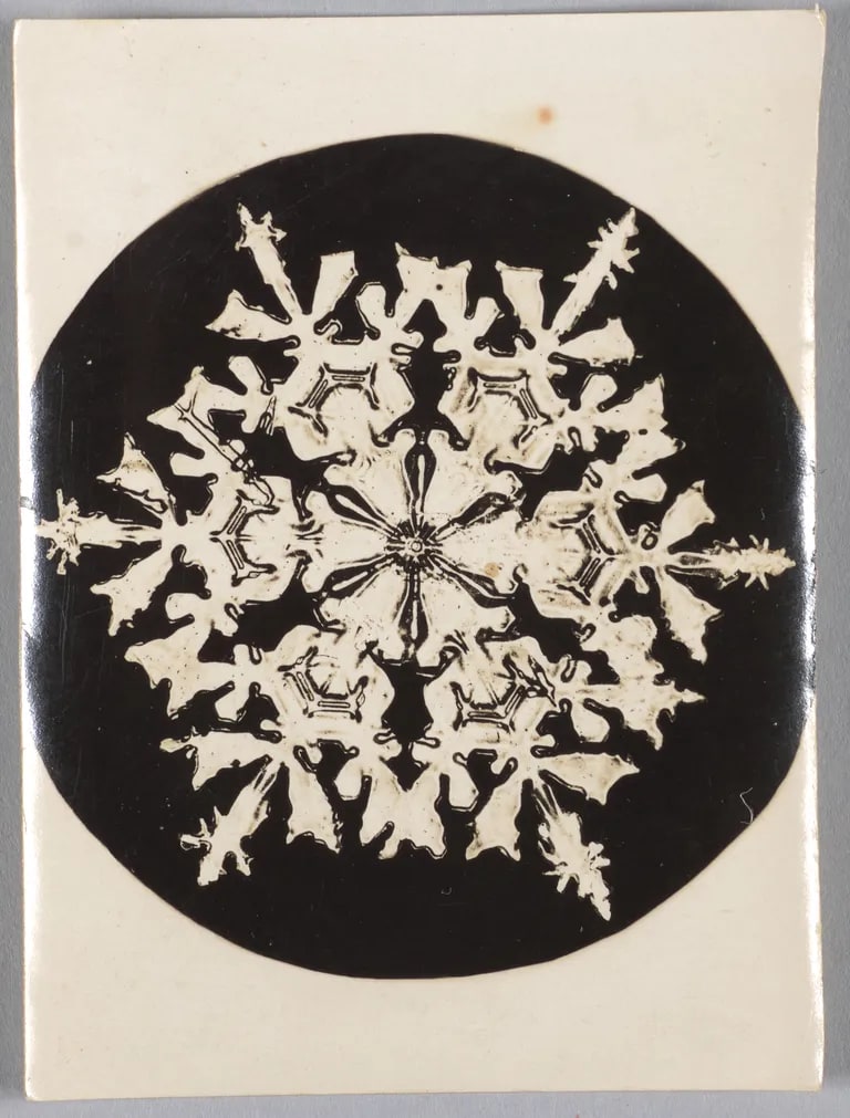 Untitled (snowflake)