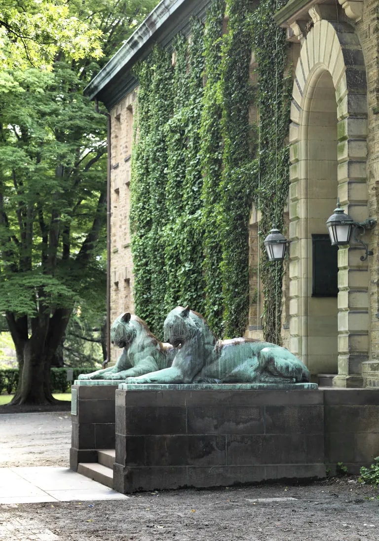 Pair of tigers