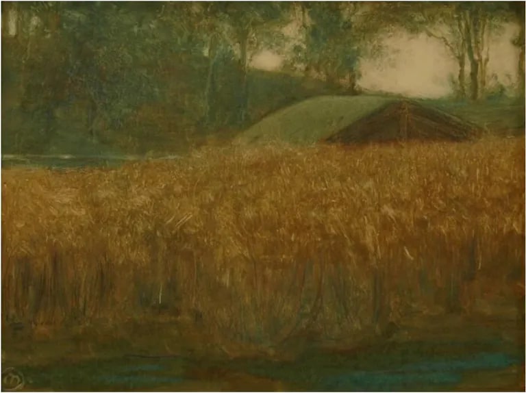 Wheat Field