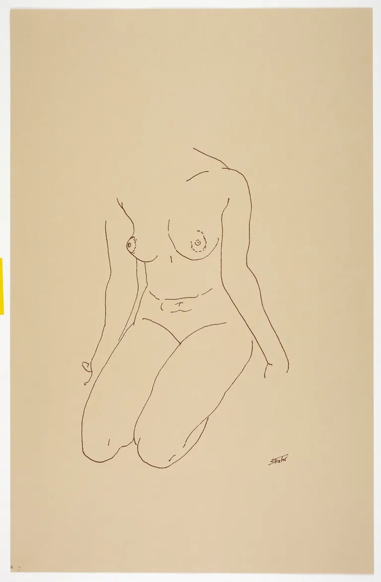 Torso