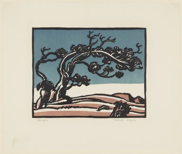 Juniper Tree