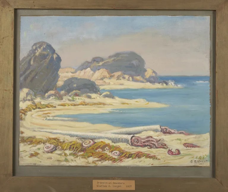 Ordovician Seashore