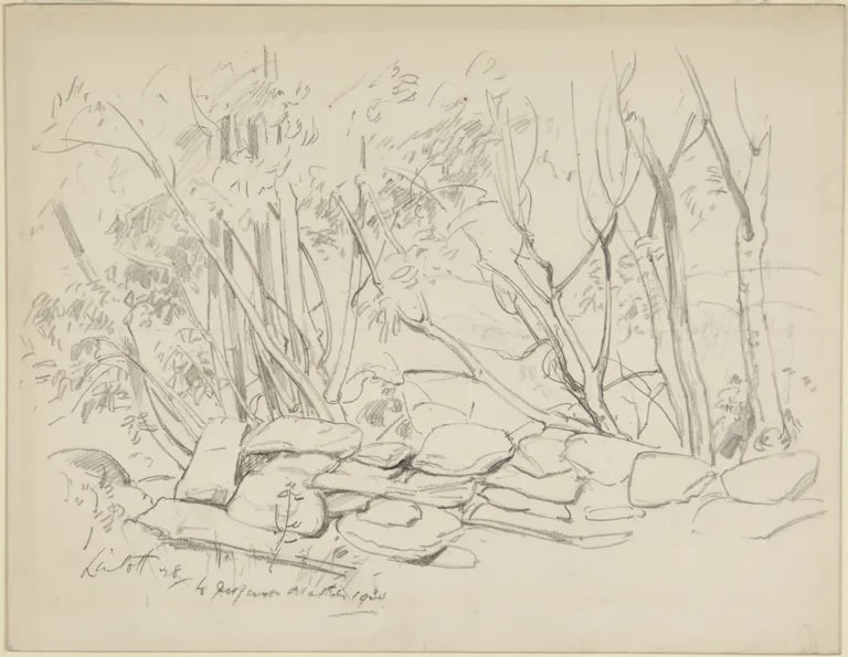 Landscape