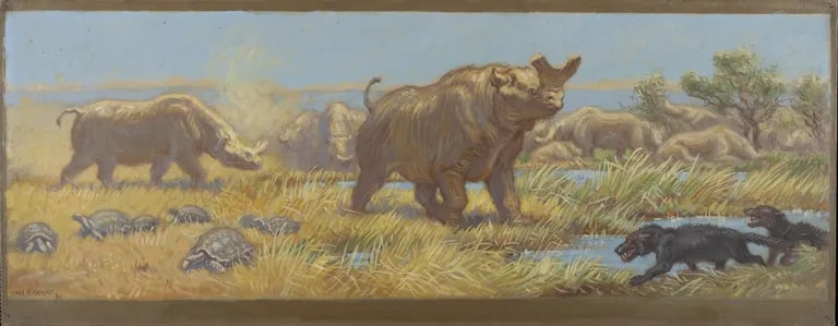 Oligocen Epoch, South Dakota