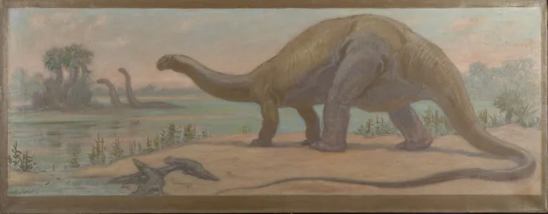 Jurassic Period, Colorado