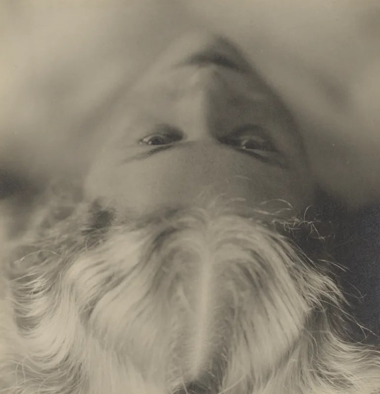 Portrait of woman's face