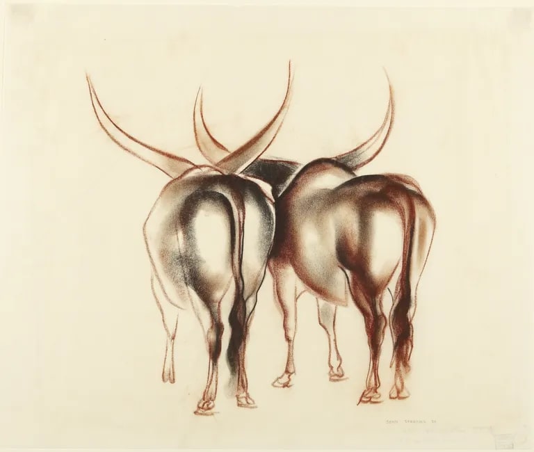 Two Water Buffalos