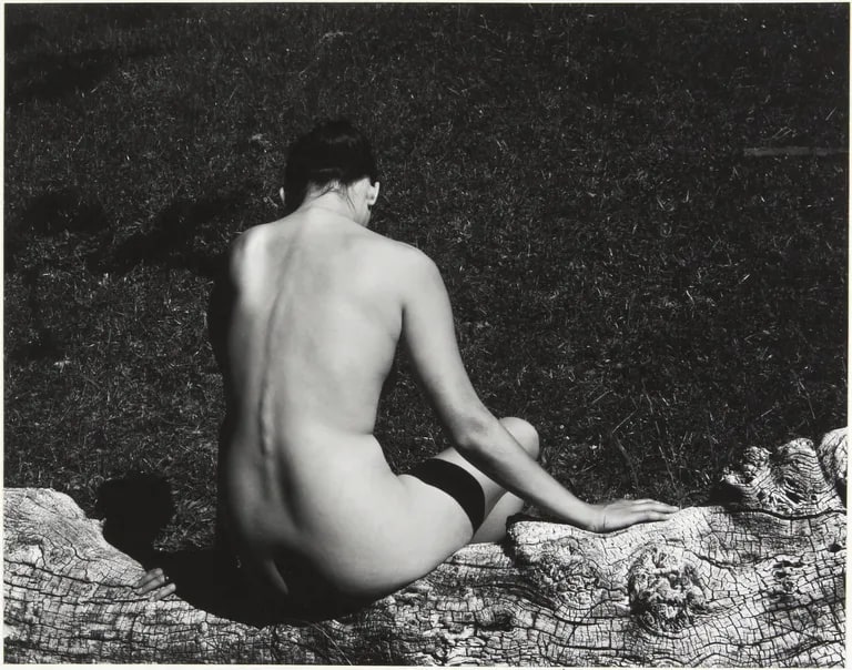 untitled (nude)