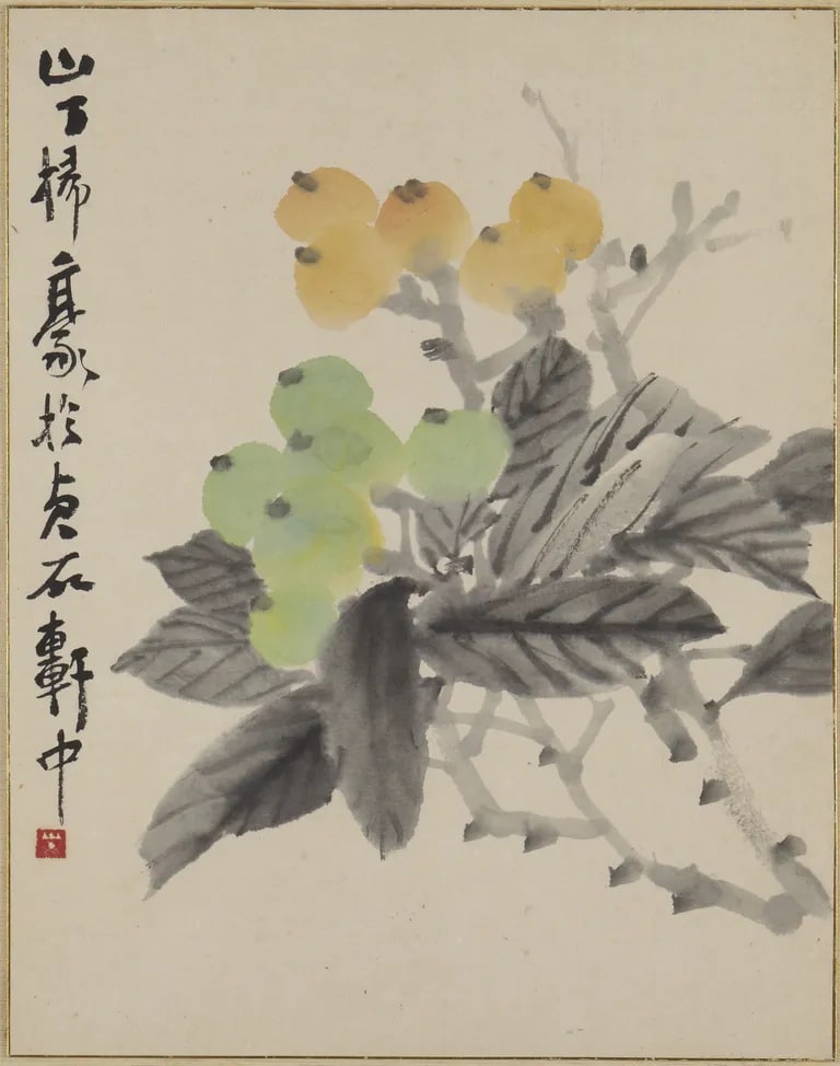 Loquats