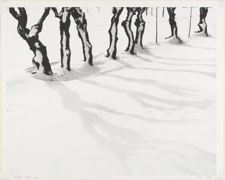 Shadows on Snow (Ombre sulla neve)