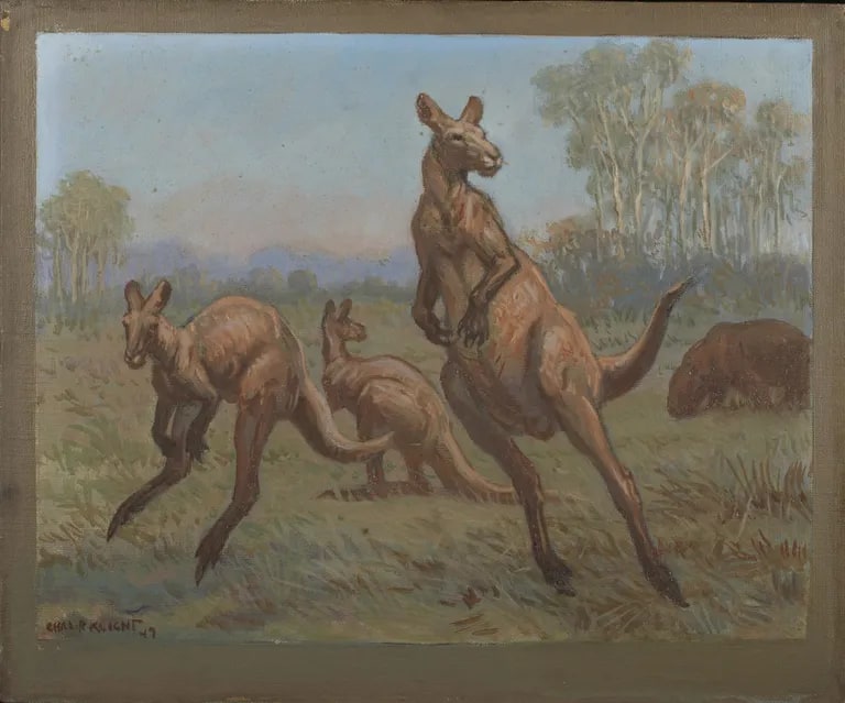 Pleistocene Epoch, Australia
