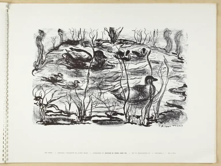 The Pond