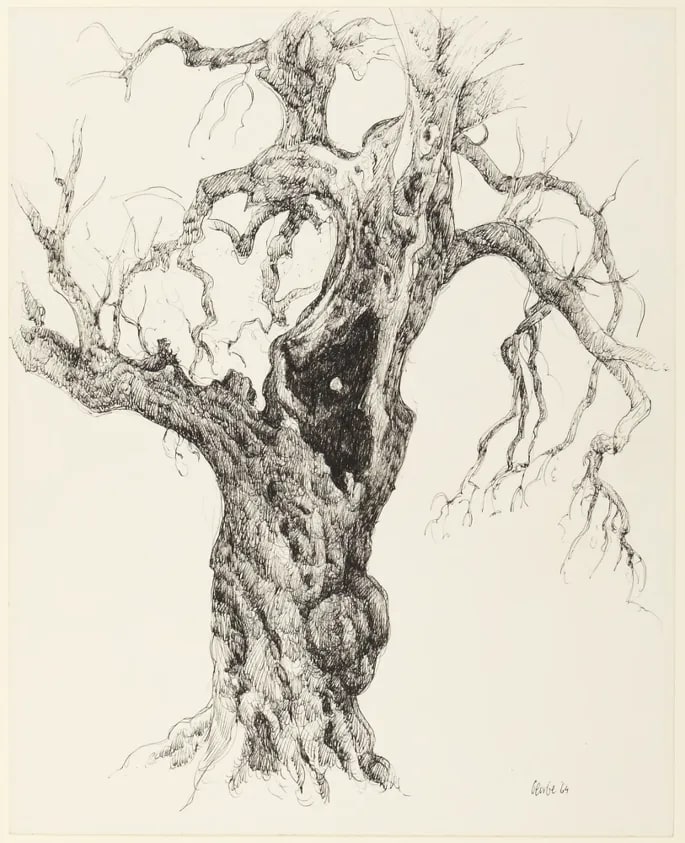 Olive Tree, Renoir's Garden ("Les Collettes")