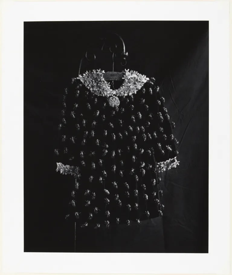 Dress of Cicadas