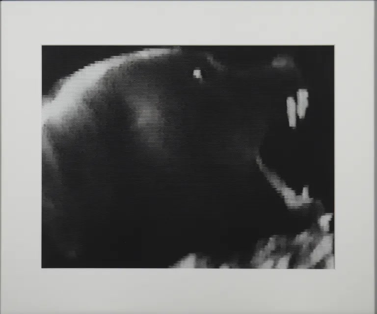 Hound