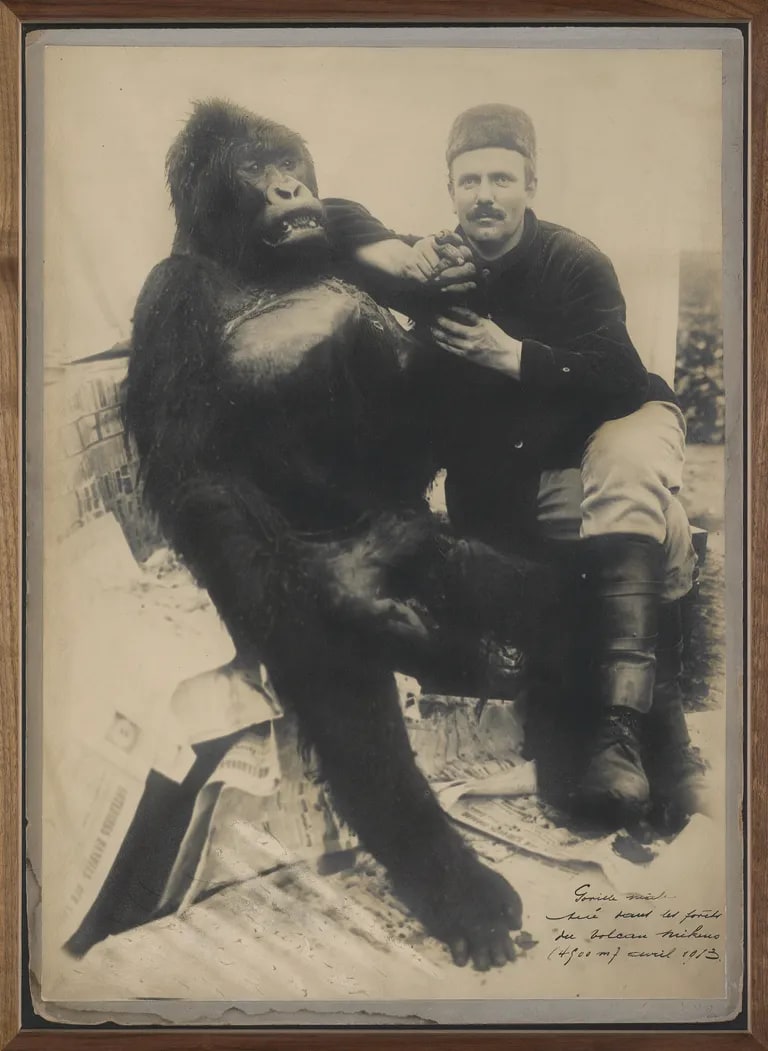 The Album or Pauwel’s Album