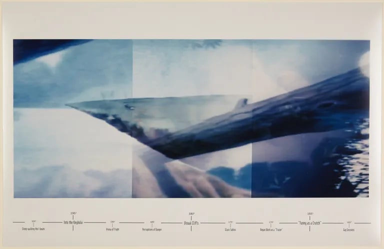 Muto(scape): A Panorama of Animation Specimens