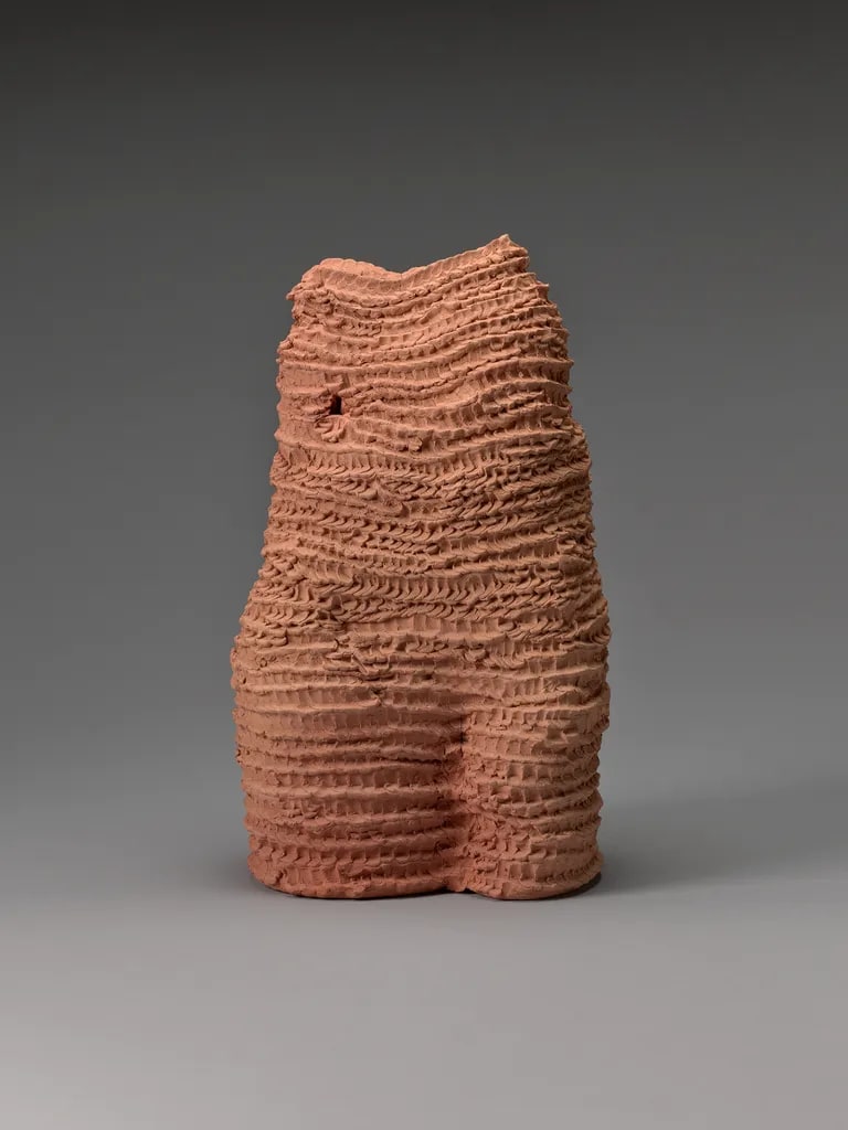 Sem título (da série Cupinzeiros) [Untitled (from the Termite mound series)]