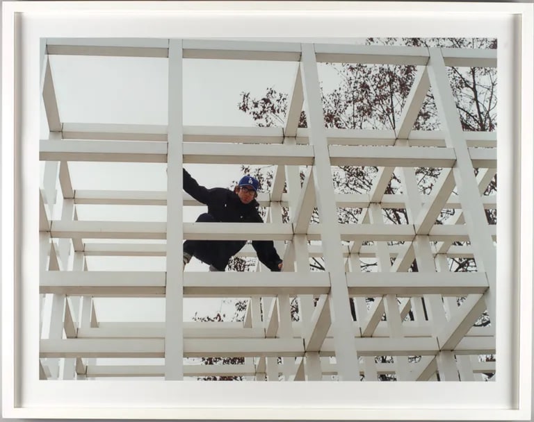 Me Up in a Tree Similar to One Painted by Piet Mondrian in about 1944