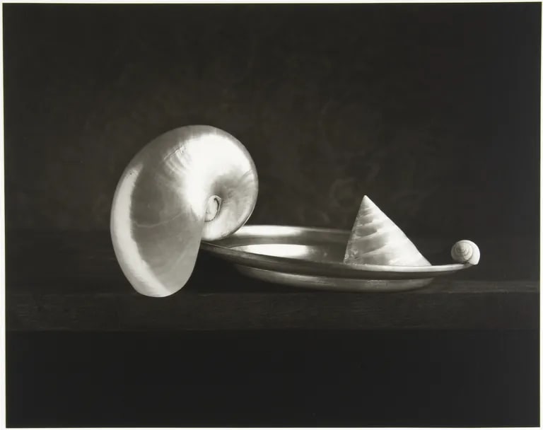 Three shells, I