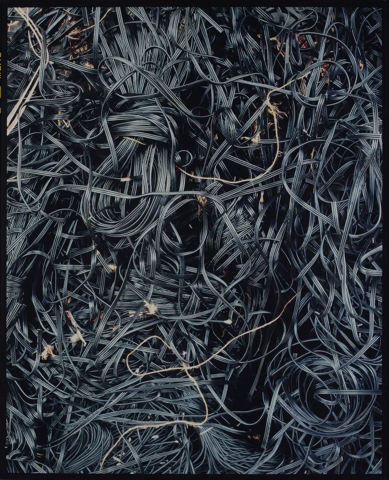 Untitled, from the series disCONNEXION